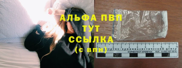 гидра Алексеевка