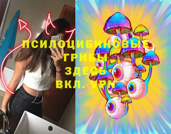 apvp Алзамай