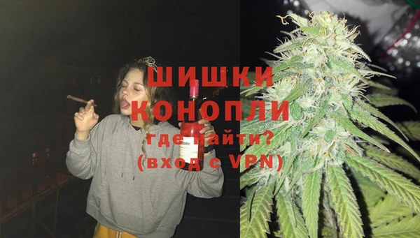 гидра Алексеевка