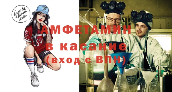 мет Алексин