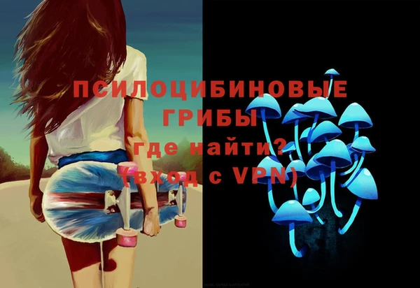 apvp Алзамай