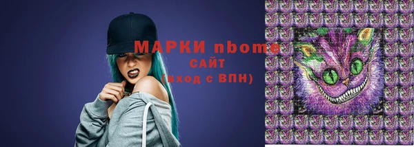 мет Алексин