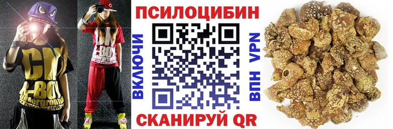 Псилоцибиновые грибы Psilocybine cubensis  Зарайск 